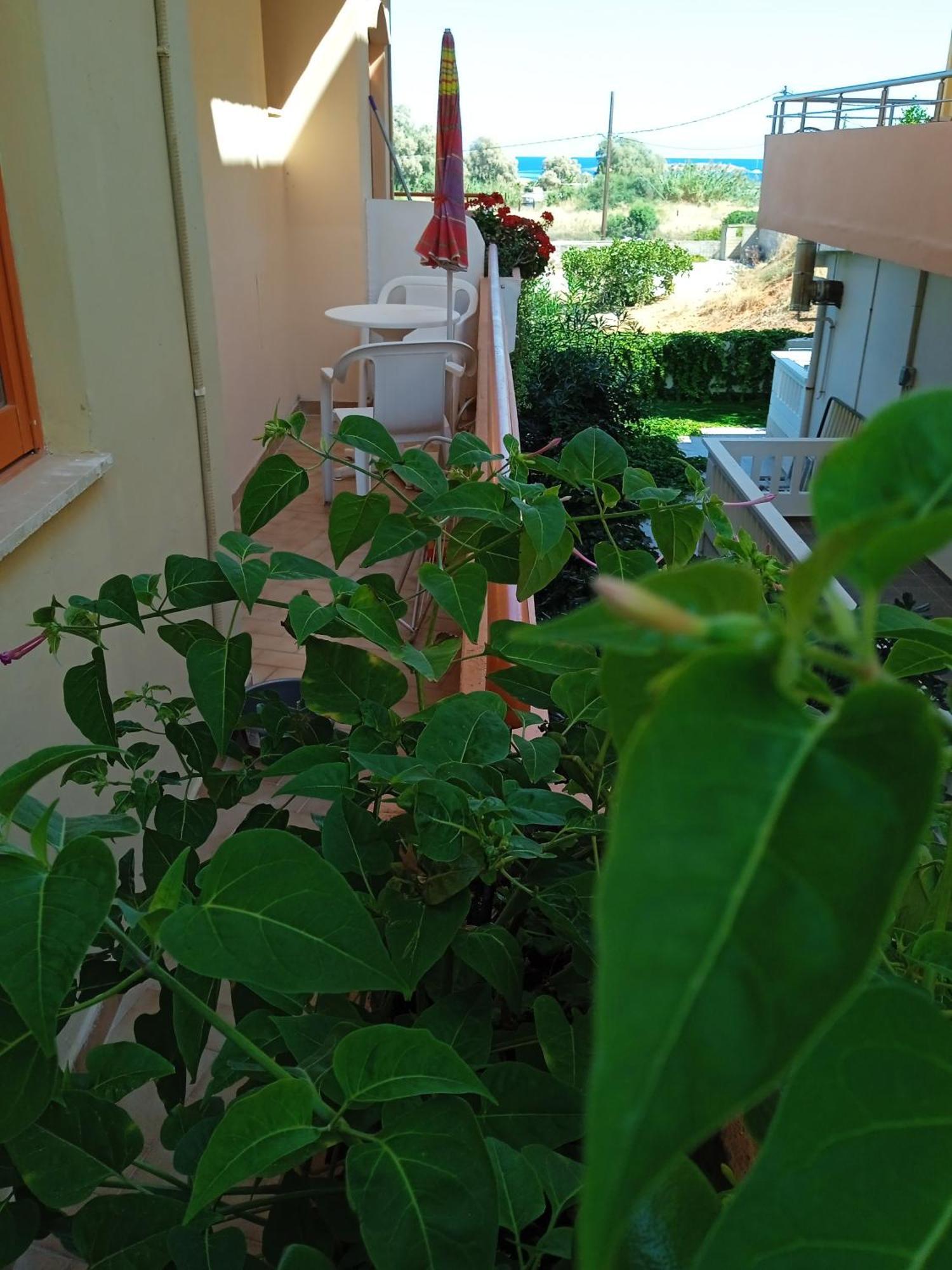 קאטו דרטסו Ilona Apartments Chania חדר תמונה