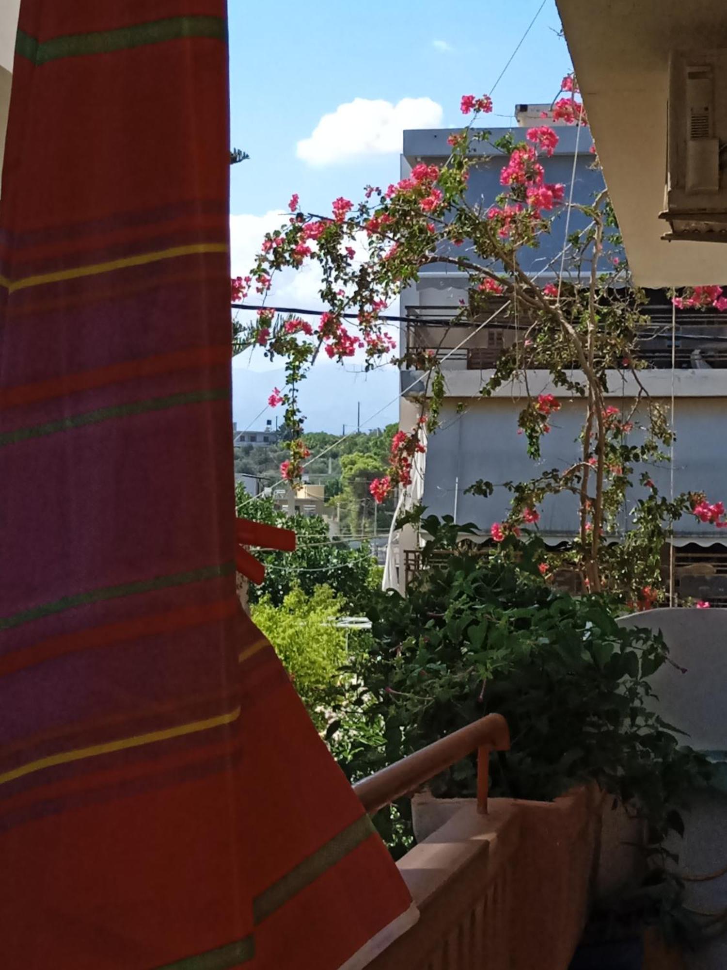 קאטו דרטסו Ilona Apartments Chania חדר תמונה