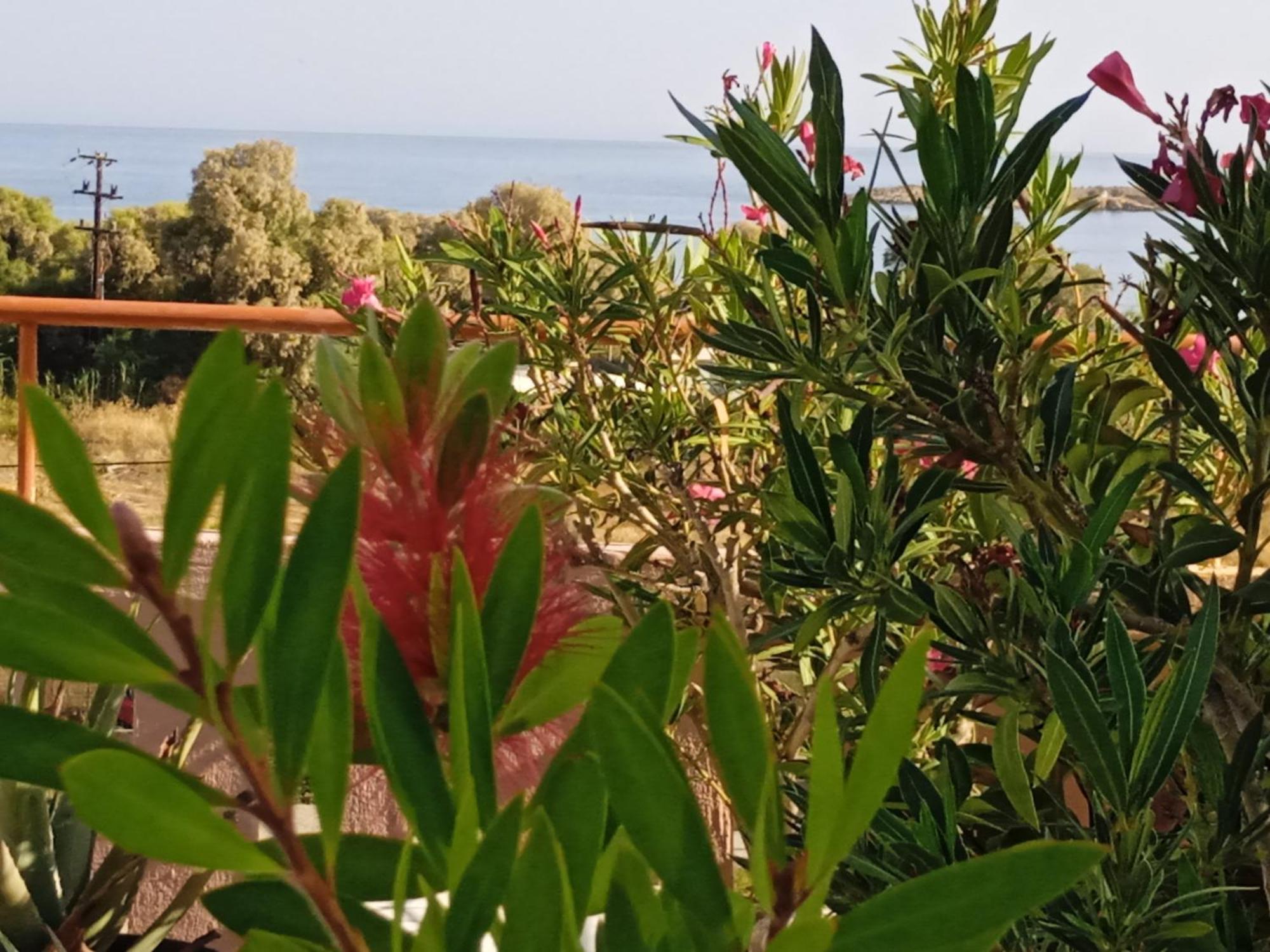 קאטו דרטסו Ilona Apartments Chania חדר תמונה