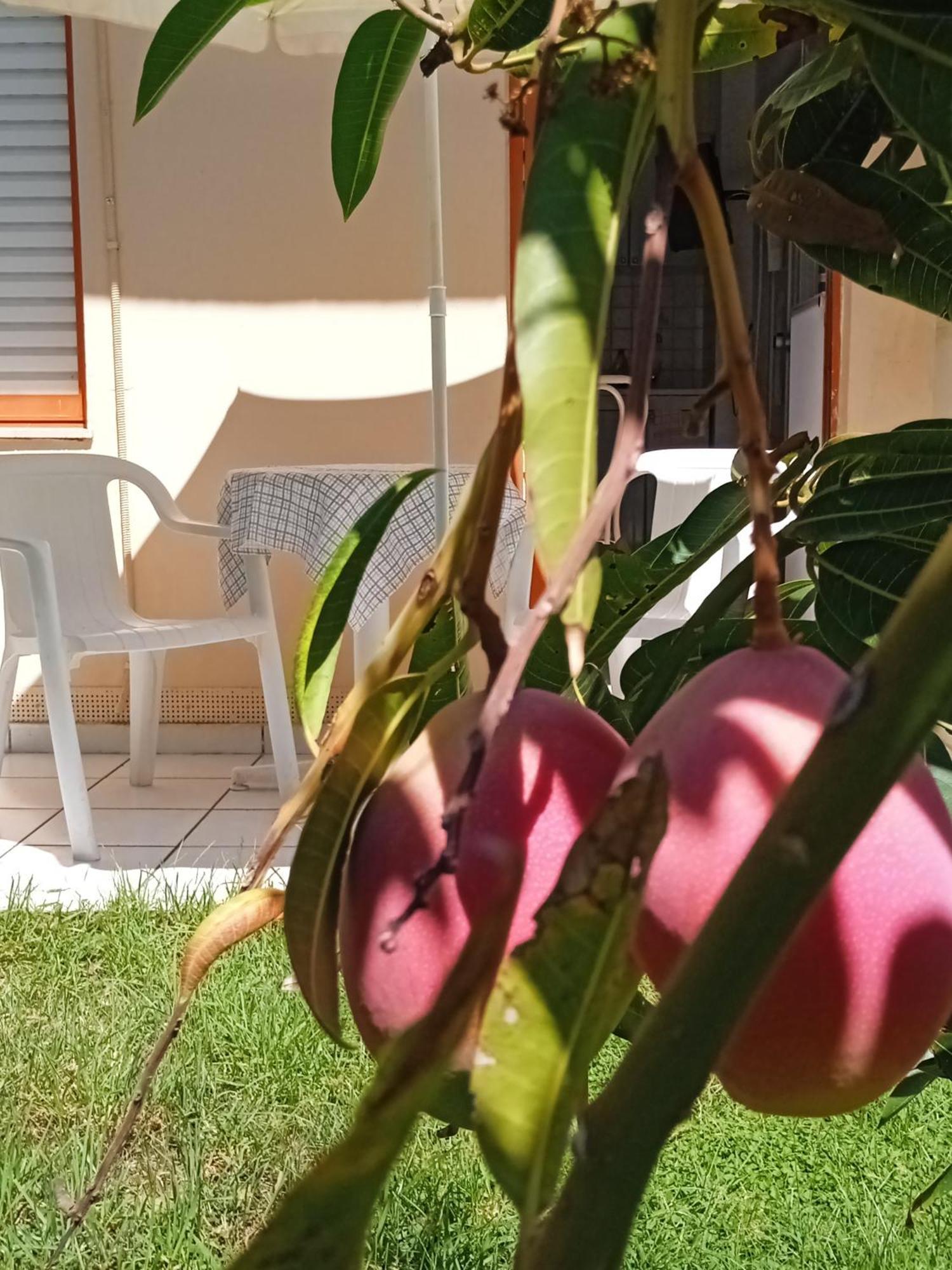 קאטו דרטסו Ilona Apartments Chania חדר תמונה