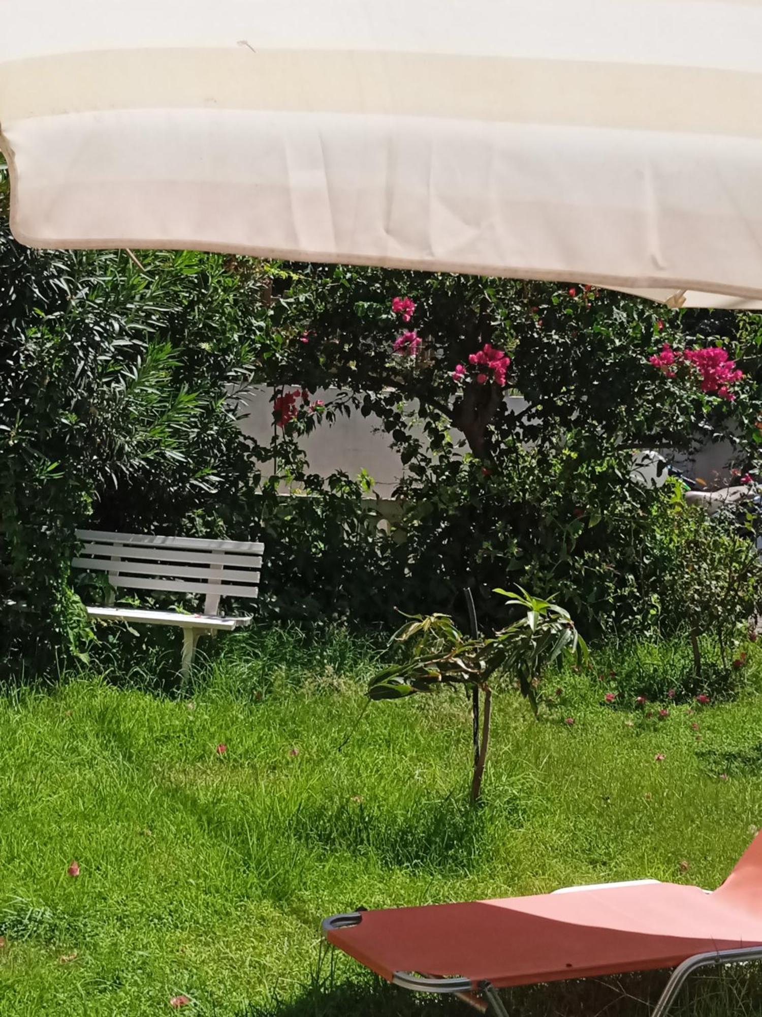 קאטו דרטסו Ilona Apartments Chania חדר תמונה