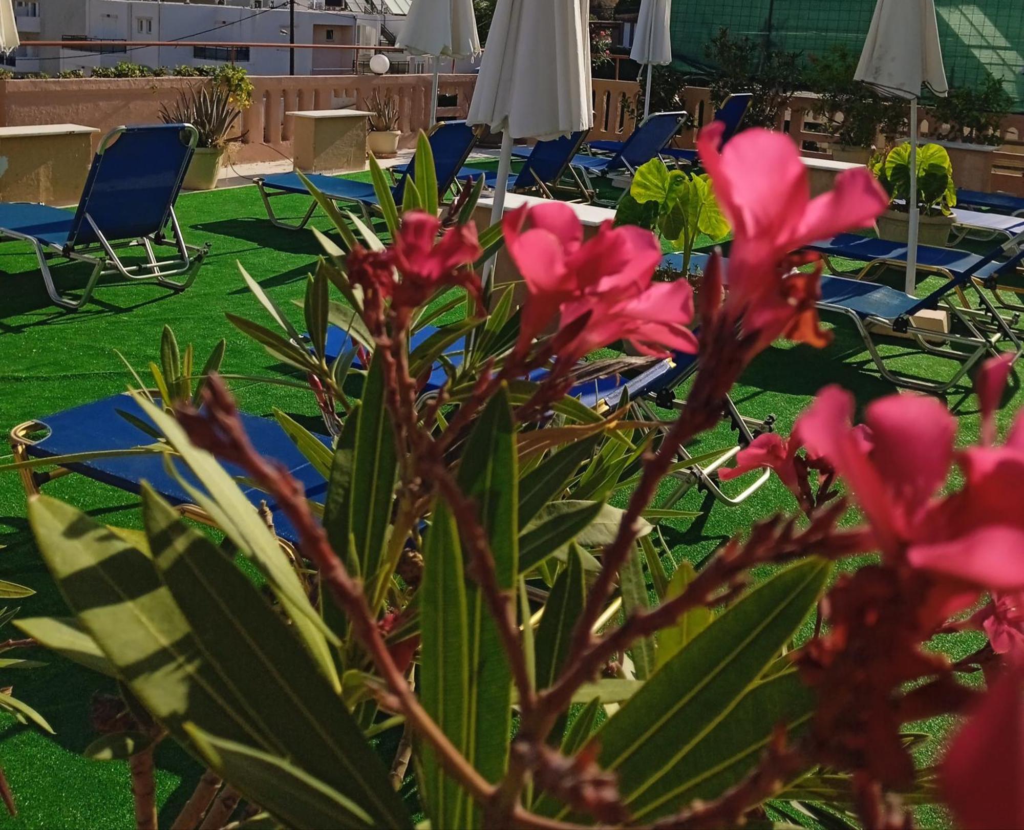קאטו דרטסו Ilona Apartments Chania חדר תמונה